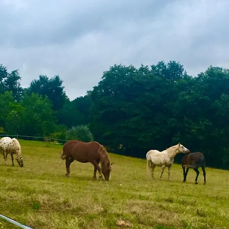 Apartment Petite Vue