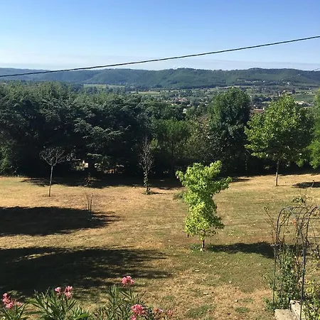 Petite Vue *