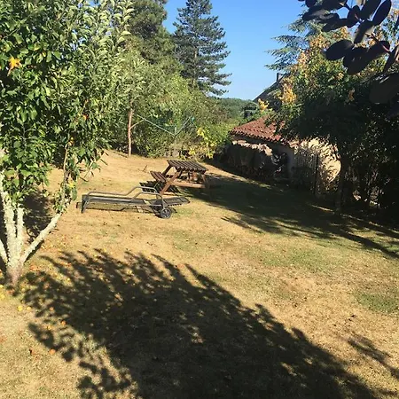 Petite Vue *
